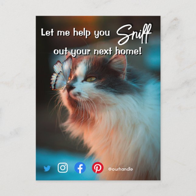 funny real estate sniff out your next home cat postcard (Front)