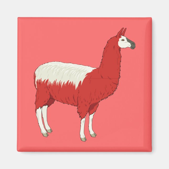 Funny Red Llama Magnet (Front)