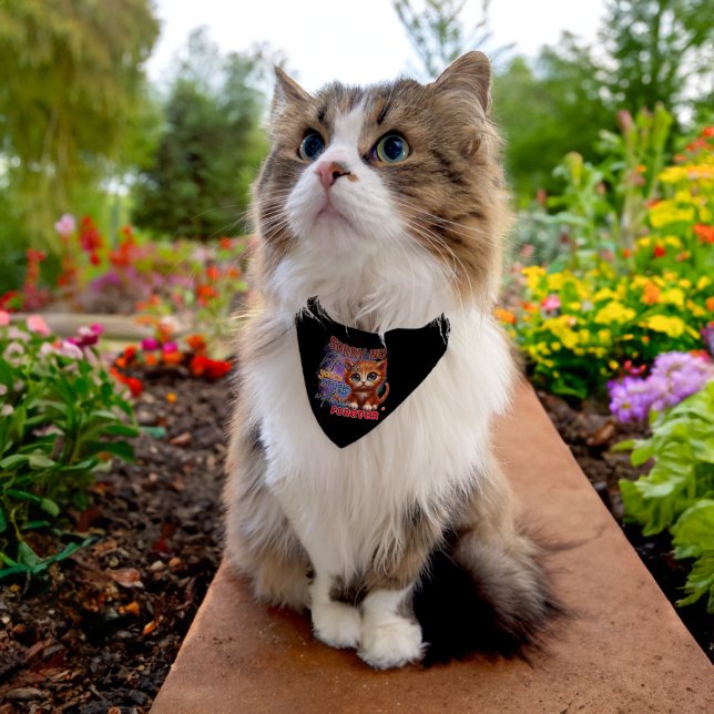 Funny refund cat lovers pet bandana collar (Cat)