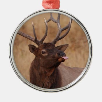 Funny Reindeer Metal Ornament by WorldDesign at Zazzle