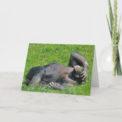 Funny Relaxing Chimpanzee Animal Photo Card