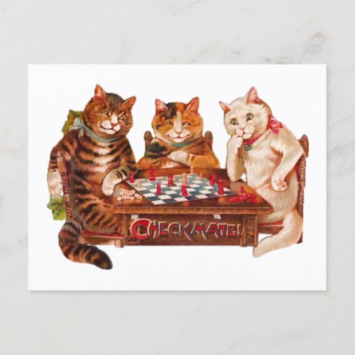 Funny Retro Cats Checkmate Playing Chess 1903 Postcard