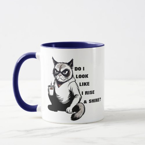 Funny Rise  Shine Grumpy Cat Morning Coffee Humor Mug