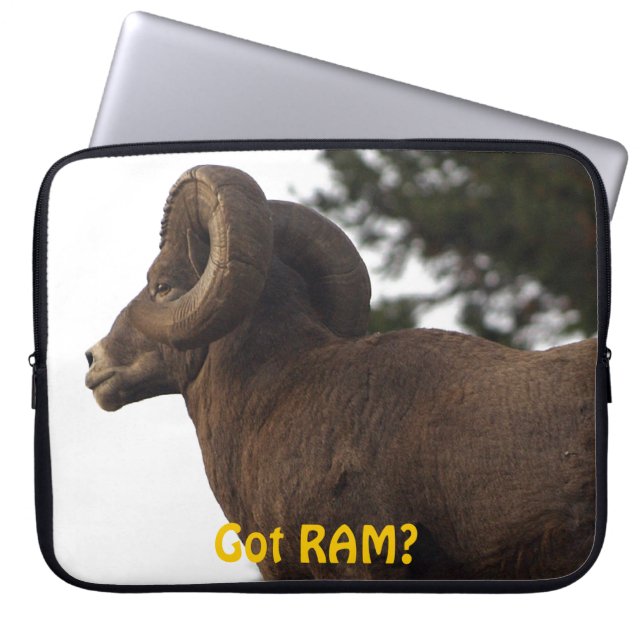 Funny Rocky Mountain Wild Big Horn Sheep Laptop Sleeve (Front)