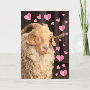 Funny Romantic Goat Valentine's Day Holiday Card