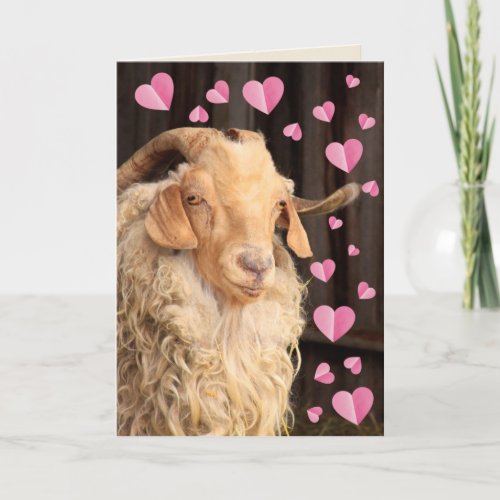 Funny Romantic Goat Valentines Day Holiday Card