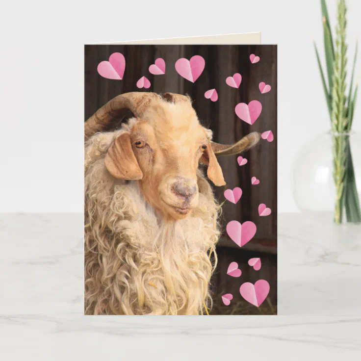 Funny Romantic Goat Valentine's Day Holiday Card | Zazzle