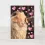 Funny Romantic Goat Valentine's Day Holiday Card