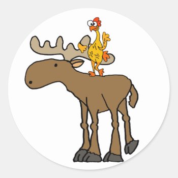 Funny Rubber Chicken Riding Moose Cartoon Classic Round Sticker by naturesmiles at Zazzle