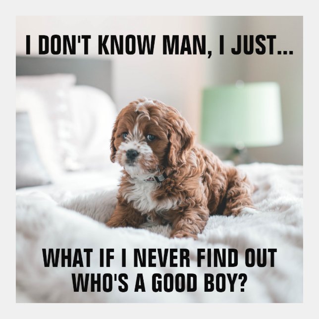 Funny Sad Puppy on Bed Meme (Front)