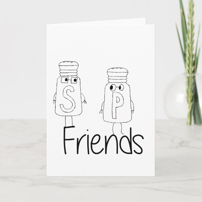 Funny Salt and Pepper Shakers Best Friends Besties Card (Front)