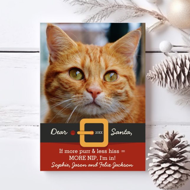 Funny Santa Cat More Purr Less Hiss Photo Holiday Card