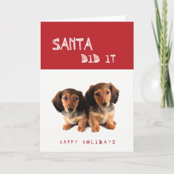 Funny Santa Did It Dachshund Puppies Holiday Card by Doxie_love at Zazzle
