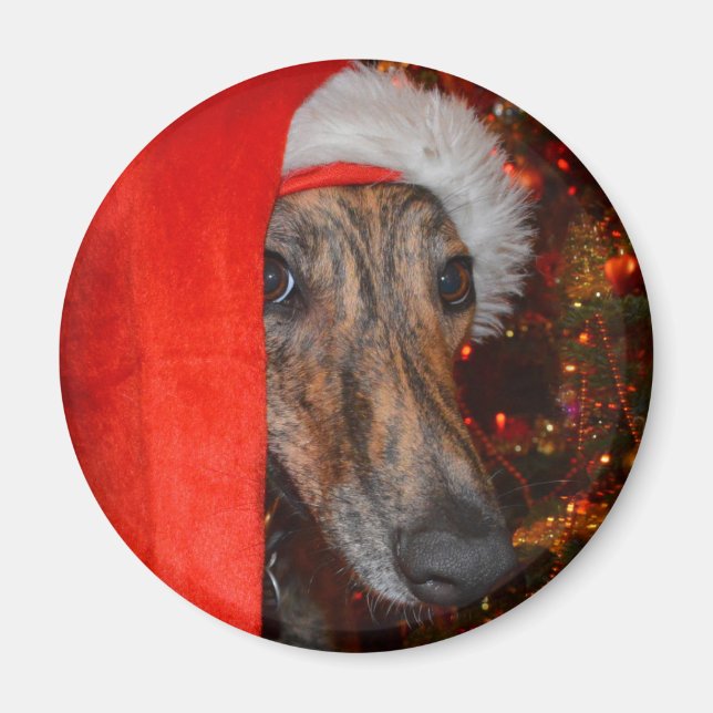 Funny Santa Dog -Lurcher Greyhound Christmas Hat Magnet (Front)