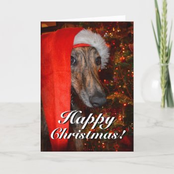 Funny Santa Dog Lurcher Greyhound Christmas Holiday Card by LurcherStore at Zazzle