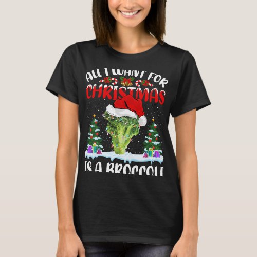 Funny Santa Hat All I Want For Christmas Is A Broc T_Shirt