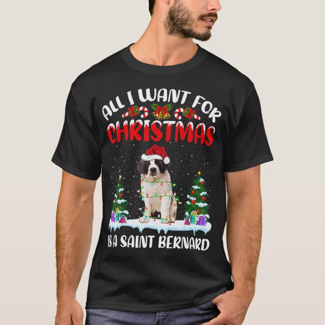 Funny Santa Hat All I Want For Christmas Is A Sain T-Shirt (Front)