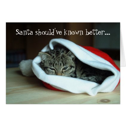 Funny Santa Hat Cat Christmas Card