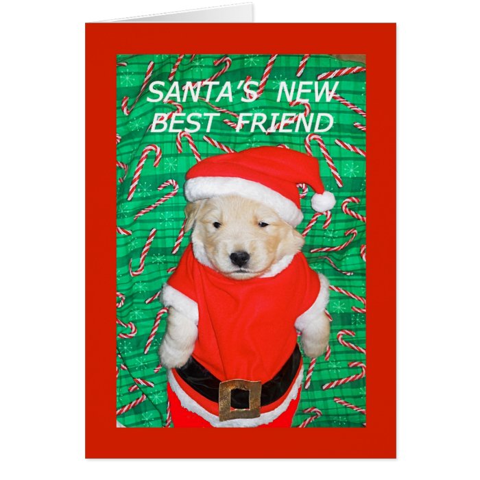 Funny Santa Puppy Christmas Greeting Card
