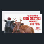 Funny Santa Reindeer Cows Christmas Beef Farm Holiday Card<br><div class="desc">Here's a moovelously delightful farm family christmas card that you can send to friends and family, or business customers. A traditional black angus and the less popular red angus cross cattle dressed up for the holidays in seasonal hats for xmas! The black steer is wearing a big white and red...</div>