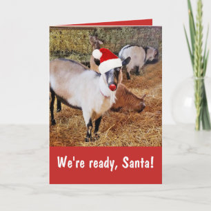 Funny Santa's Goats Christmas Card