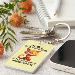 Funny sarcasm cat nice button keychain