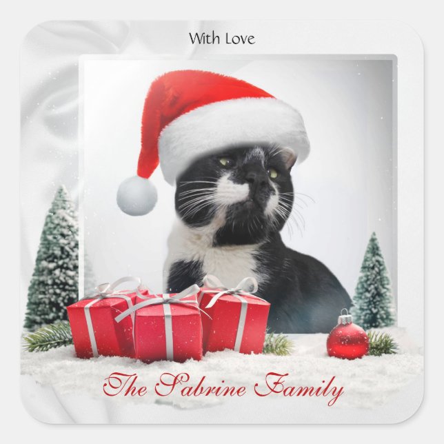 Funny Sarcastic Cat Santas Hat Christmas Sticker (Front)