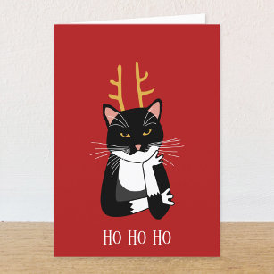 Funny Sarcastic Christmas Cat Holiday Card