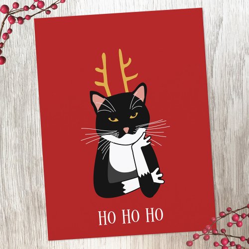 Funny Sarcastic Christmas Cat Holiday Postcard