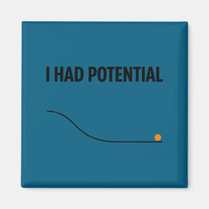 Funny sarcastic i had potential teacher meme quote magnet