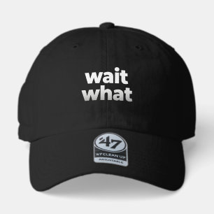 Funny Sarcastic Quote Baseball 47 Brand Hat