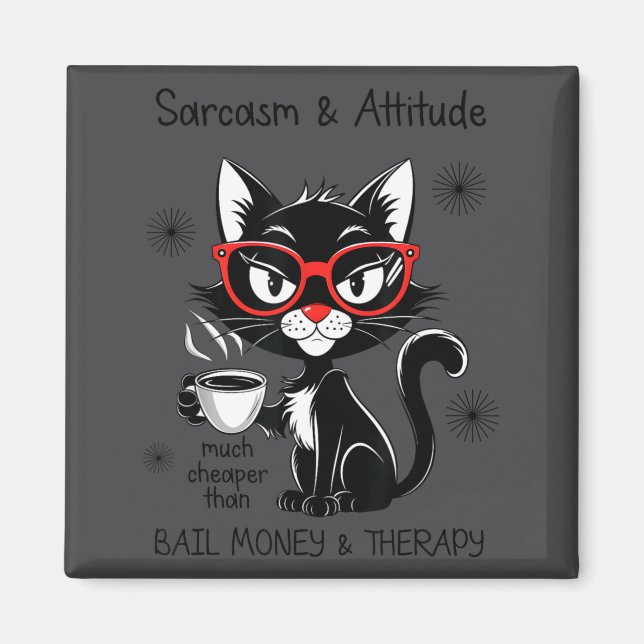 Funny Sarcastic Rude Sayings Sarcasm And Attitude  Magnet (Front)