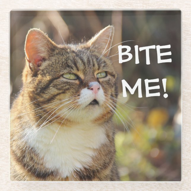Funny Sassy Cat with Attitude Bite Me Glass Coaster (Front)