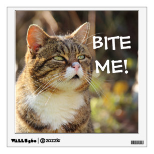 Funny Sassy Cat with Attitude Bite Me Wall Decal