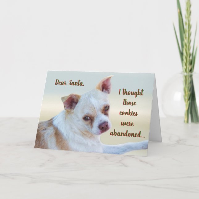 Funny Sassy Naughty Mutt Dog Humor Christmas Card (Front)