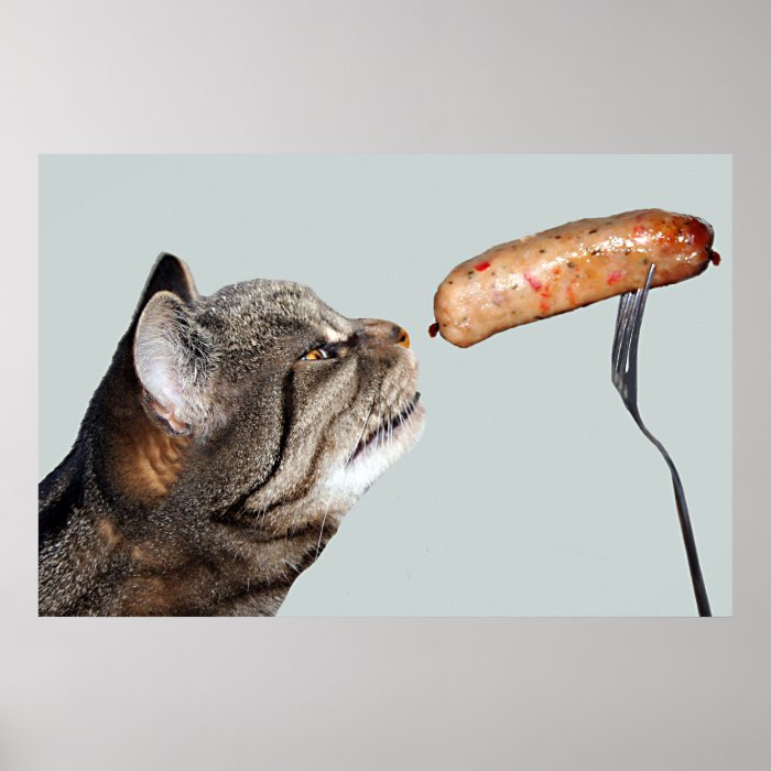 Funny Sausage Cat Poster Print