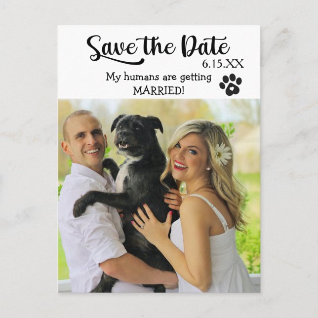 Funny Save the Wedding Date with Dog Postcard (Front)