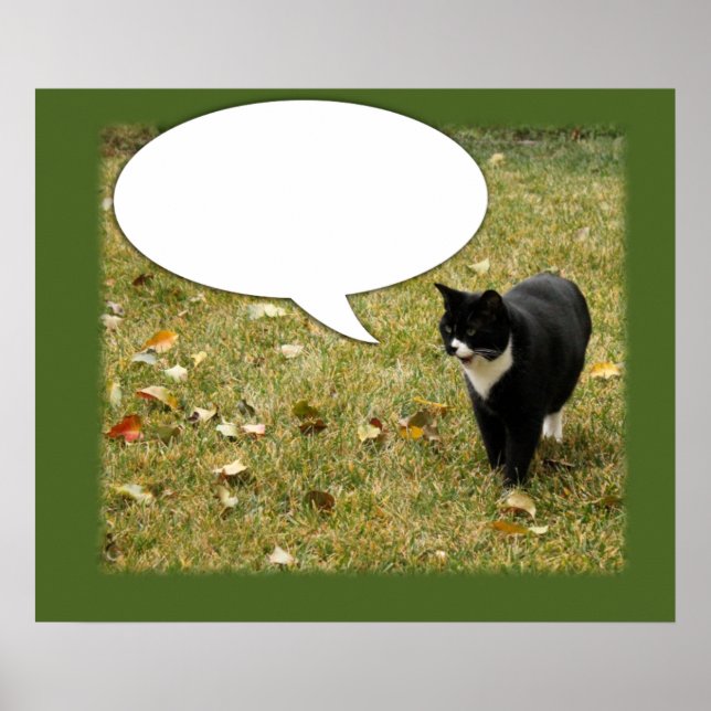 Funny Say Something Kitty Speech Bubble Poster (Front)