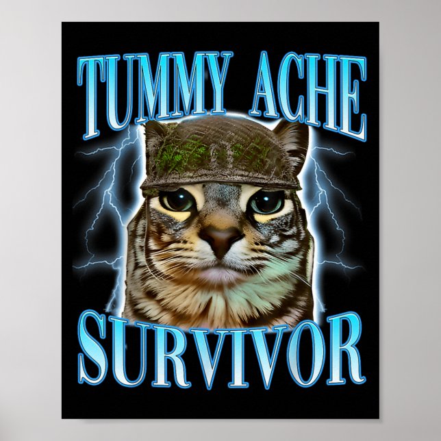 Funny Saying Cats Tummy Ache Survivor Cat Meme Hum Poster (Front)