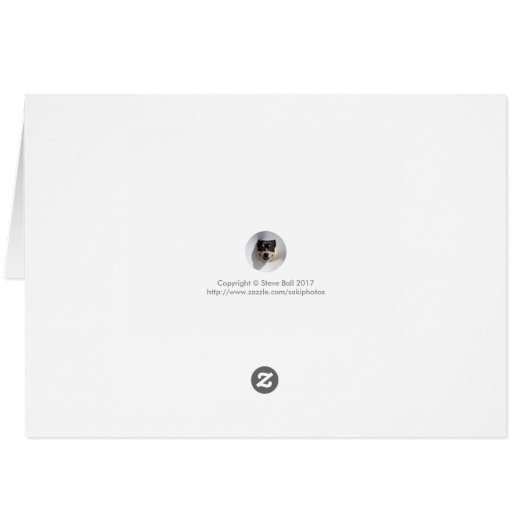 Funny scarecrow (Back Horizontal)