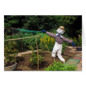 Funny scarecrow cards (Front Horizontal)