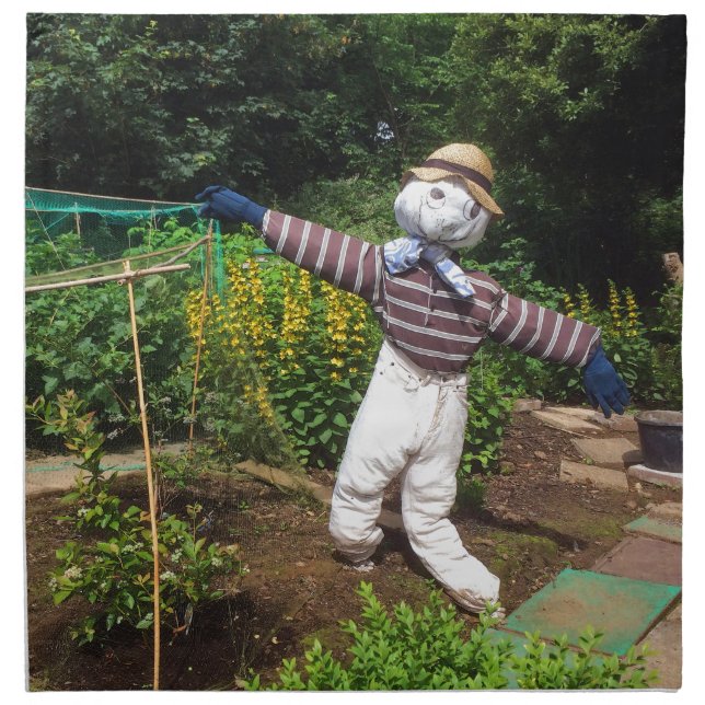 Funny scarecrow napkin (Front)
