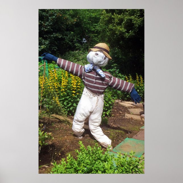 Funny scarecrow poster (Front)