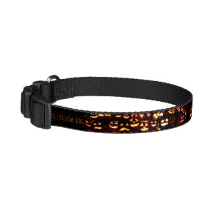 Funny Scary Orange Pumpkins Pattern Halloween Pet Collar