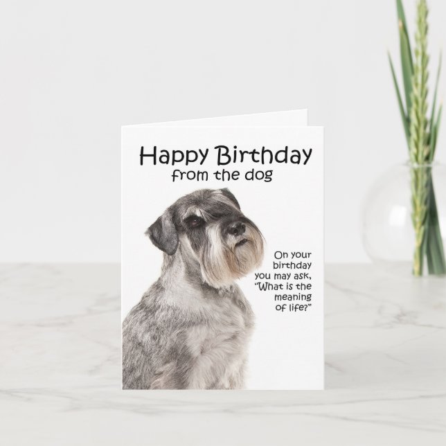 Funny Schnauzer Birthday Card (Front)
