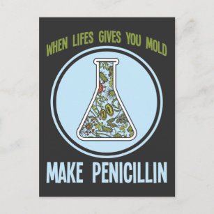 Funny Science Bacteria Humor Mold Make Penicillin Postcard