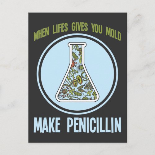 Funny Science Bacteria Humor Mold Make Penicillin Postcard