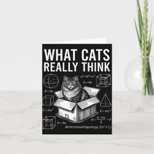 Funny Science Physics Cat in Box What Cats Think Card