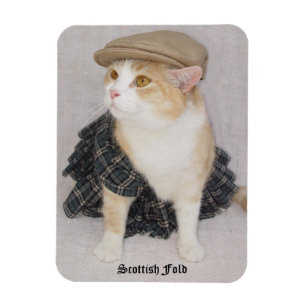 Funny Scottish Fold Cat/Kitty in a Kilt Magnet
