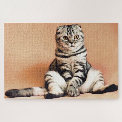 Funny Scottish Fold Cat Photo Jigsaw Puzzle